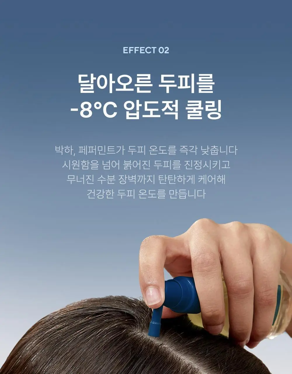 [두피쿨링/탈모증상완화] 아로마티카 티트리 퓨리파잉 토닉 100ml (단품/더블기획) 상세페이지 16